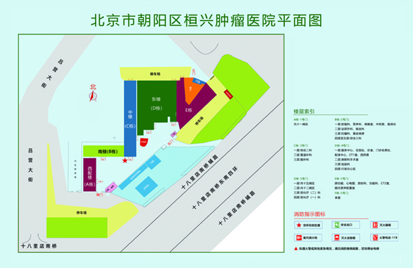 鸡巴插嫩穴网站北京市朝阳区桓兴肿瘤医院平面图